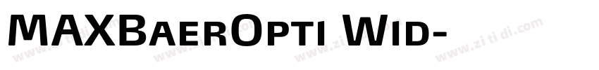MAXBaerOpti Wid字体转换